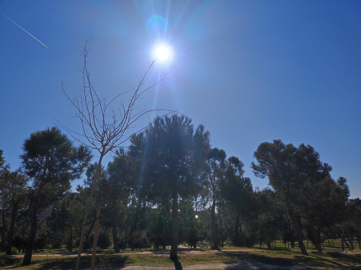 guitarrafito's tweet photo. #TomandoelSol #ParquedelaCuรฑaVerde
#Moratalaz https://t.co/qrKNDEg7Ry