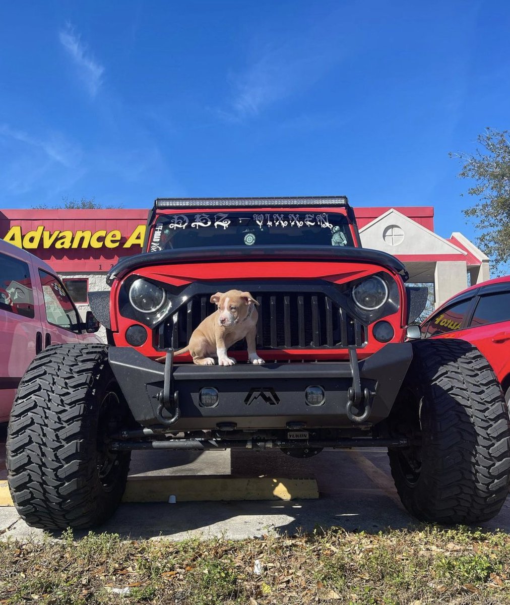 atturotires's tweet photo. Bark and Bite 🐶💯 TIRE SIZE 👉 Trail Blade MTS 35x13.5R20 📸: @sammievixxen_2.0 #GoYourOwnWay #atturotire #atturotires #trailblademts #wrangler https://t.co/YPwsEIFXQn