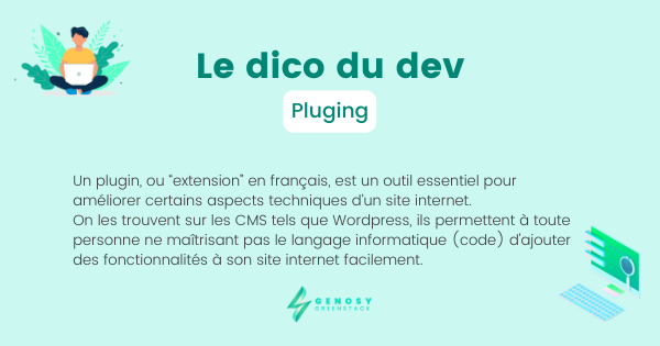 Qu'est-ce qu'un pluging ? 🤔 
#dicodudev #genosy #genosygreenstack #dev #siteinternet #creationdesite #creersonsite #pluging
