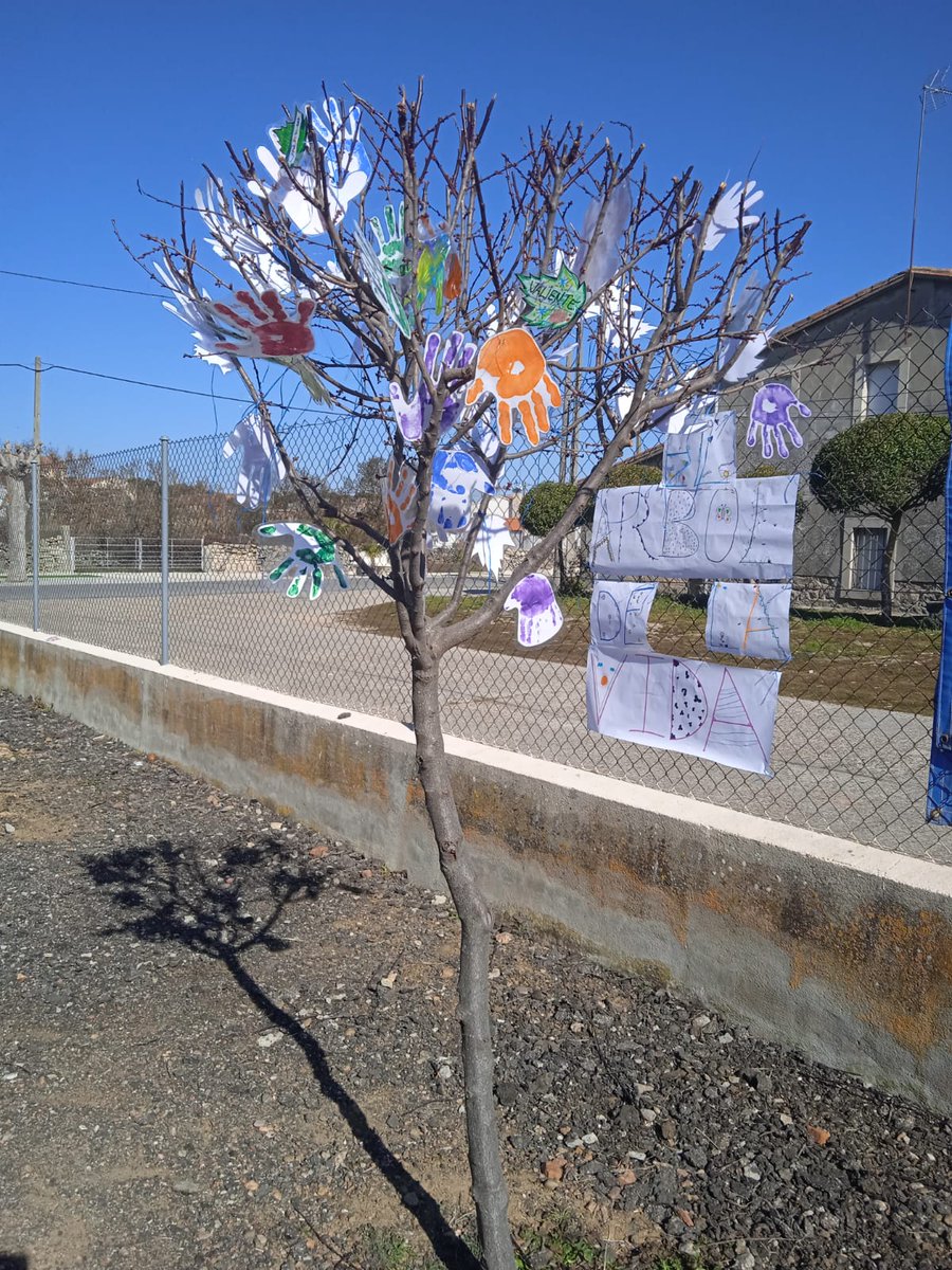CraSayago's tweet photo. El árbol de la vida. #DiaMundialContraElCancer #ennuestrasmanos #throughourhands con nuestros mejor deseo en el día mundial contra el cáncer infantil. #sayago https://t.co/rRdMRrmneq