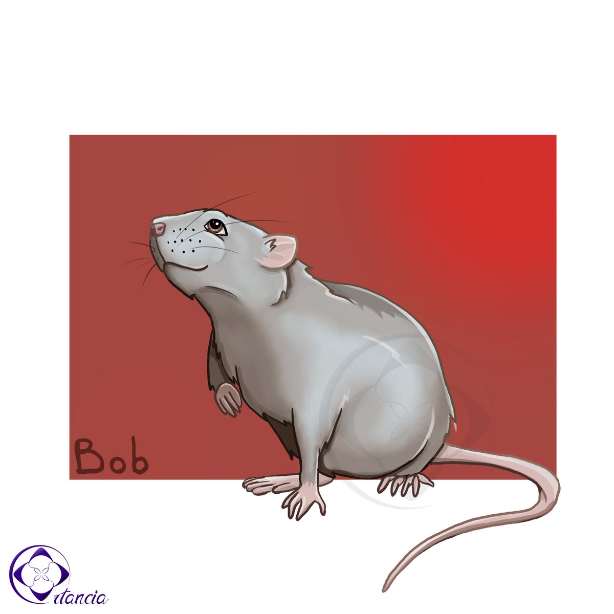 OrtanciaDesigns's tweet photo. Les #RATS ont aussi le droit à leurs #portraits ! 🐭 https://t.co/AeltvEXDgY