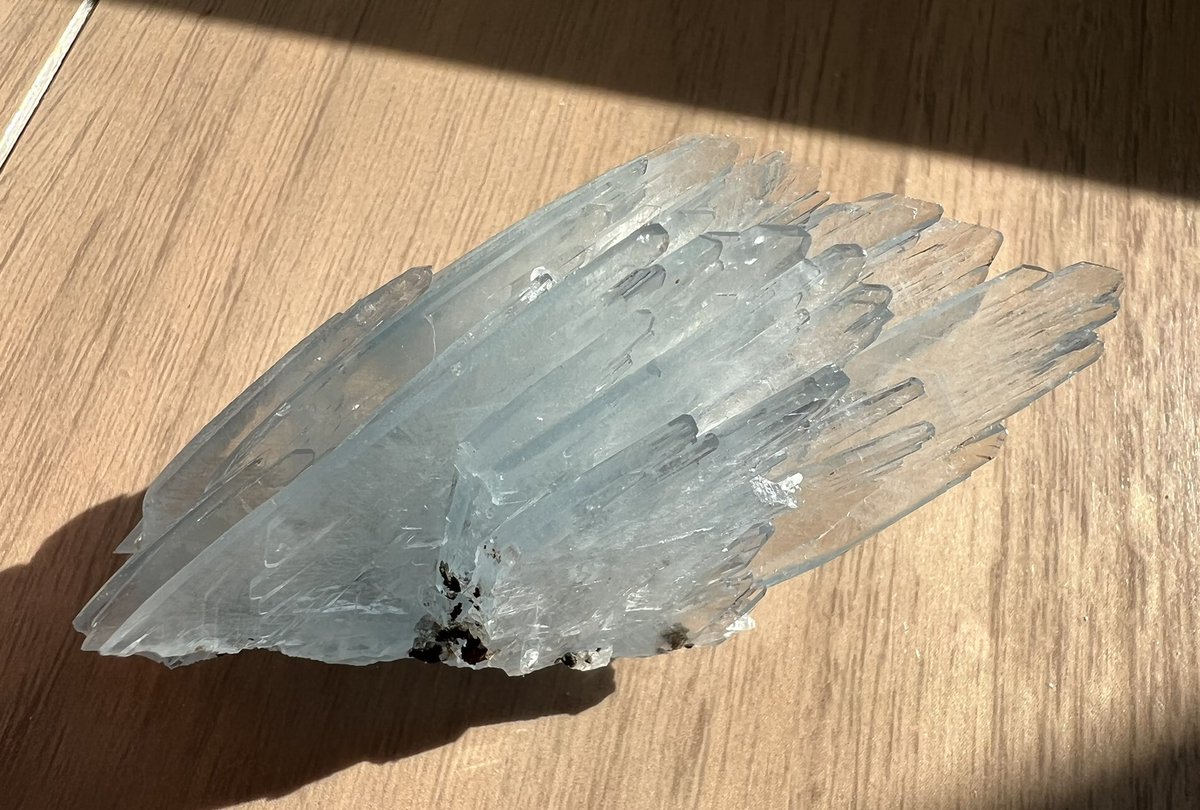 sierrarium's tweet photo. ブルーバライト、ずっと欲しかったんです✨

Sidi Lahcen Mine, Nador Province,
Oriental Region, Morocco

@mayoi_kobo様より　その1 https://t.co/Xx9xXbIMDS
