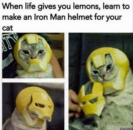 WholesomeMeme's tweet photo. https://t.co/ZDb3tyT9Kc