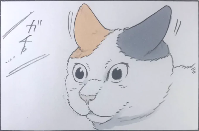 『表情』 