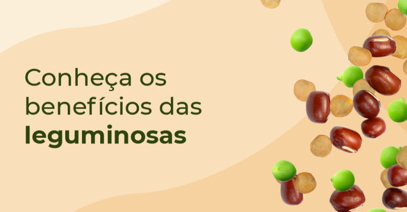 BonduellePT's tweet photo. No Dia Mundial das Leguminosas analisamos os maiores benefícios deste alimento 🔝. Imprescindíveis para uma dieta saudável e equilibrada... Qual é o seu legume seco favorito? 💚