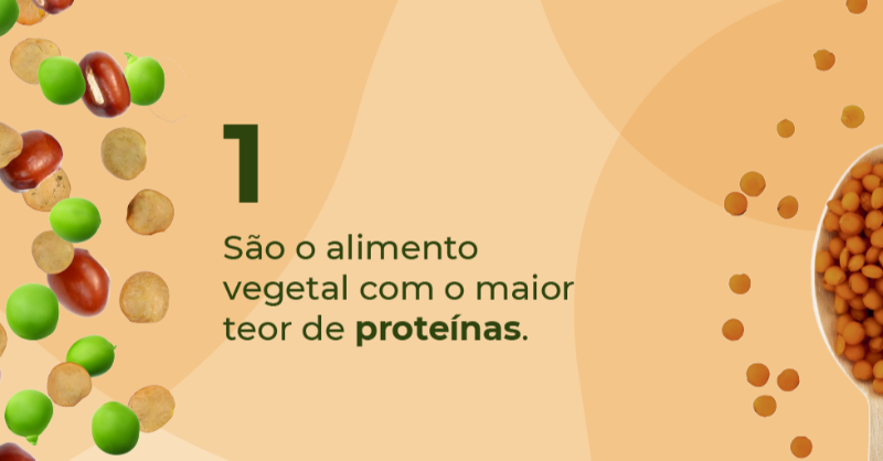 BonduellePT's tweet photo. No Dia Mundial das Leguminosas analisamos os maiores benefícios deste alimento 🔝. Imprescindíveis para uma dieta saudável e equilibrada... Qual é o seu legume seco favorito? 💚
