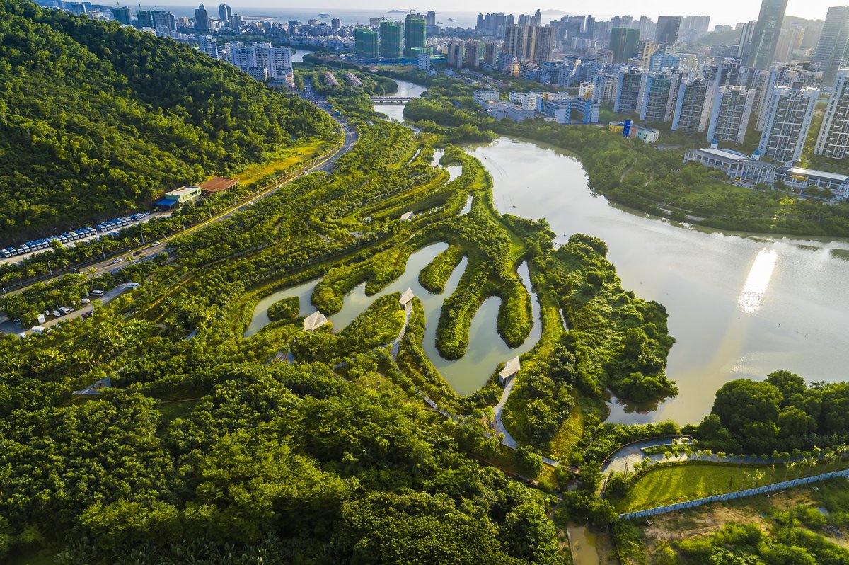 The_CLC_SG's tweet photo. See how the #builtenvironment sector is adapting to disruptions from climate change, an ageing workforce, resource scarcity and the COVID-19 pandemic to build cities that are more #sustainable and #resilient: https://t.co/3uKVJ8sPWl
Image: Kongjian Yu/Turenscape
#CLCSG https://t.co/8UQKmCWV41