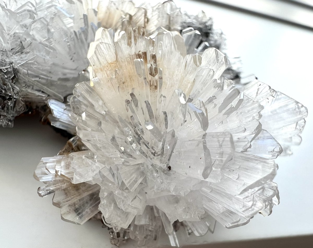 sierrarium's tweet photo. お花のようなヘミモルファイト
次は黒背景でも撮りたい☺️

Ojuela Mine, Mapimí, Mun. de Mapimí,
Durango, Mexico

@mayoi_kobo様より　その2 https://t.co/uBMQLo1jTD