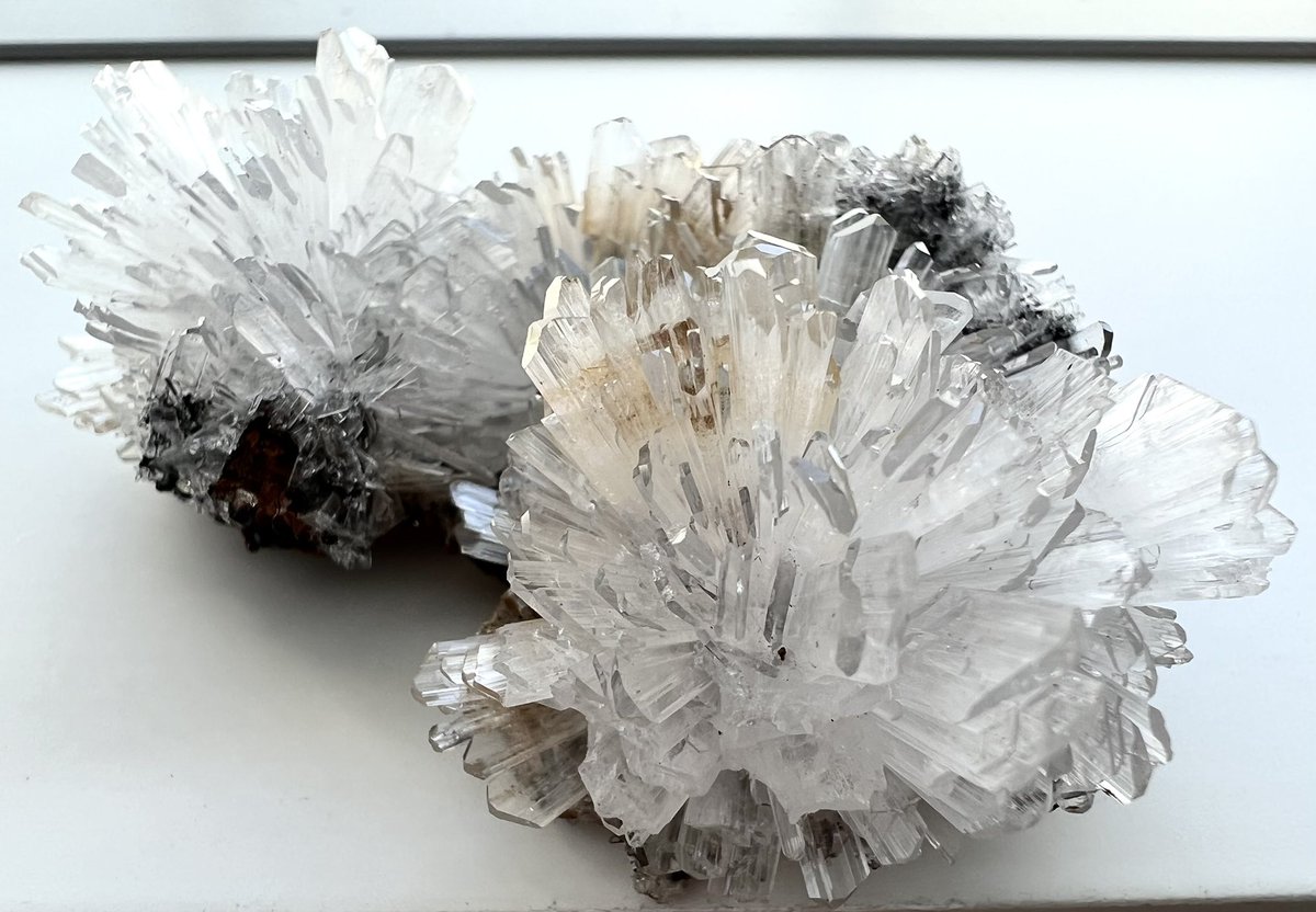 sierrarium's tweet photo. お花のようなヘミモルファイト
次は黒背景でも撮りたい☺️

Ojuela Mine, Mapimí, Mun. de Mapimí,
Durango, Mexico

@mayoi_kobo様より　その2 https://t.co/uBMQLo1jTD