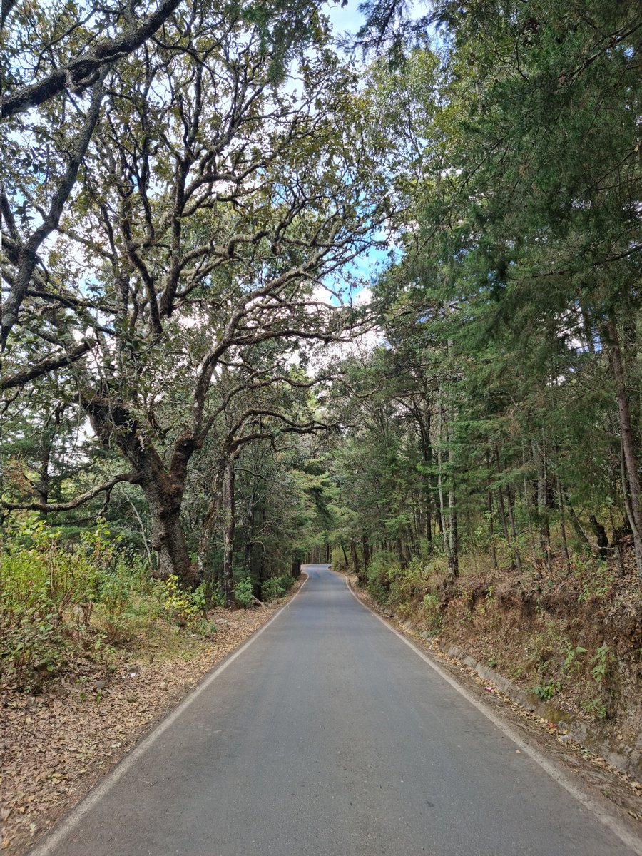lrojasnieto's tweet photo. Nuestro México, 🛣 carreteras donde se respeta el #medioambiente 🌍. Construir carreteras sostenibles, limpias y seguras es el objetivo. Cuidémoslas y mantengámoslas limpias, es el deber de todos.
@SCT_mx 
@Edomex 
@jcedomex 
@CICMoficial 
@AMIVTACmx https://t.co/S79DvFnkkY