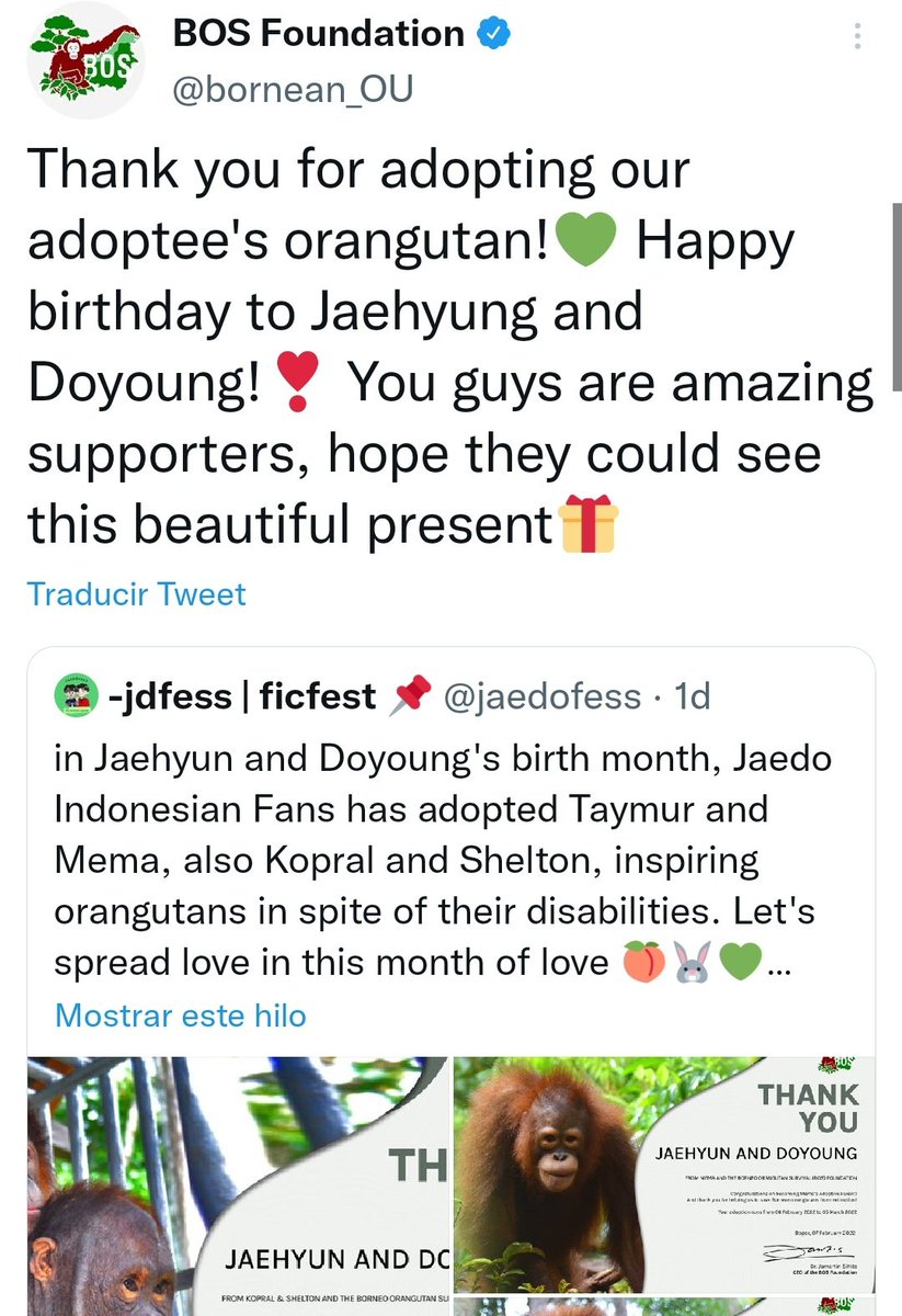 fans de indonesia adoptaron a dos orangutanes mejores amigos en nombre de jaehyun y doyo, ambos fueron víctimas de violencia y tienen diferentes discapacidades por eso. pero luego -