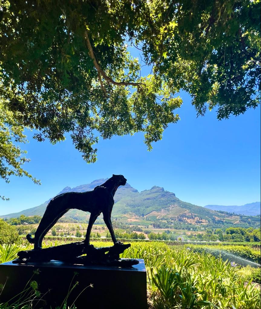 RalphGelbert's tweet photo. A delectable lunch at #Indochine in @DelaireGraff, surrounded by magnificent #DylanLewis sculptures. There is no better way to spend a sunny afternoon! #PristinePerfection https://t.co/mkCdvMAWXT
