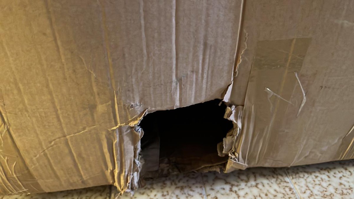 Daaquiles's tweet photo. @AndreaniOk después de 2 meses que tuve que esperar para que entreguen mi envío, tiempo perdido, llamadas que nos hacían hacer a mi y a @lautilaguardia  y no nos atendía nadie, de la nada llegue el paquete y abierto, sigo en comentarios https://t.co/oYhnmlvKdR