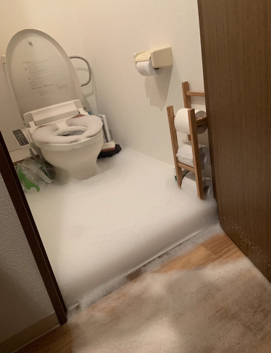 は？？？？？？？？なんなんこれ・・・・。トイレに積雪のような泡。
