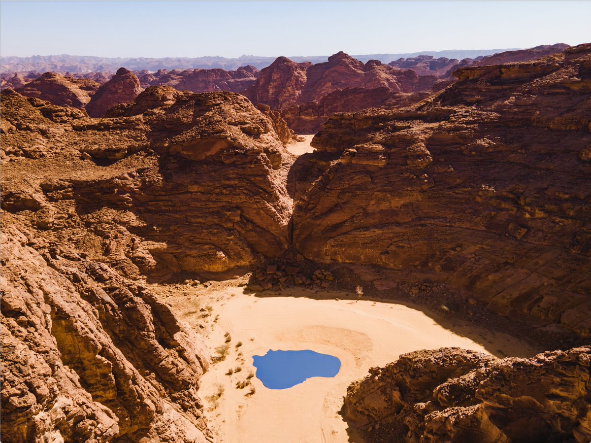 ArtsAlUla's tweet photo. Art meets #AlUla: as anticipation builds for the 2022 edition, take a sneak peek at this year's exhibition opening on 11 February. #DesertXAlUla
#ArtsAlUla https://t.co/gauOTLtUdk
