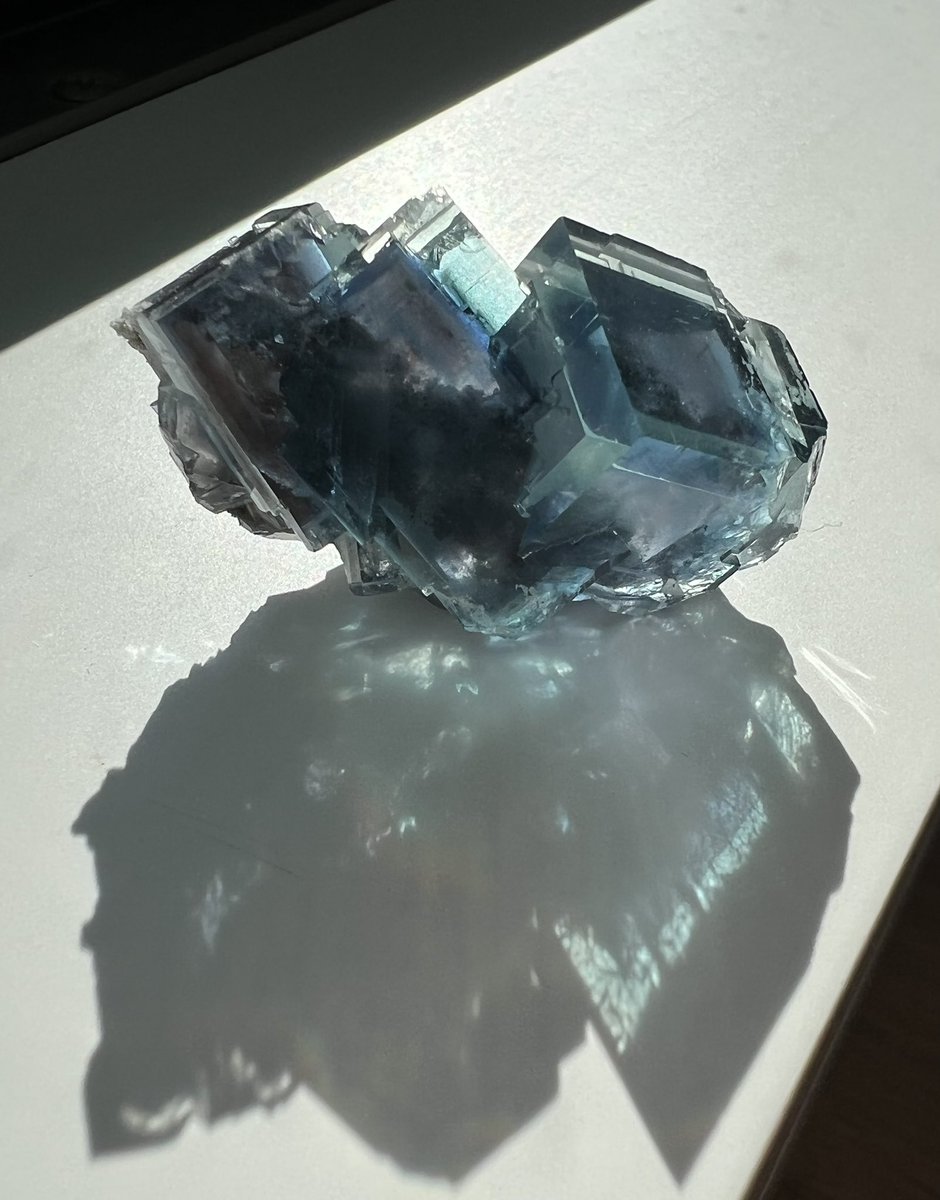 sierrarium's tweet photo. ずっと気になっていた色合いのフローライト
お譲りしていただく際にも照射処理の可能性で話題になったと教えてくださったのですが、とても好みの色で疑惑があっても入手したかったものなので、とにかく出会えて嬉しい✨

Fujian Province, China

@mayoi_kobo様より　その3 https://t.co/QFiRMYt8De