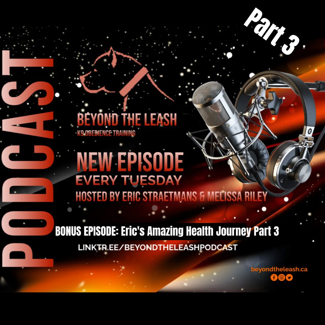 beyond the leash training