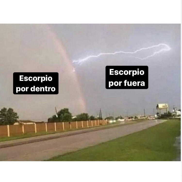 🤣🤣🤣 #escorpio #horoscoponegro