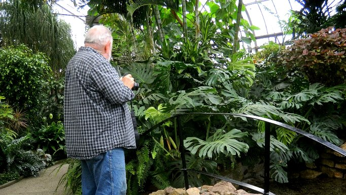 friendsTBcon's tweet photo. Take a stroll through #ThunderBay's Centennial Botanical Conservatory and forget the ice and snow.
Wed to Fri 10am-8pm
Sat & Sun 12-8pm
Mon & Tue 10am-4pm
COVID safety protocols apply.
Masks are mandatory.
Donations welcomed at the door.
#tbay #tropical #staycation #tbaycation https://t.co/oH4GsDw0Fr