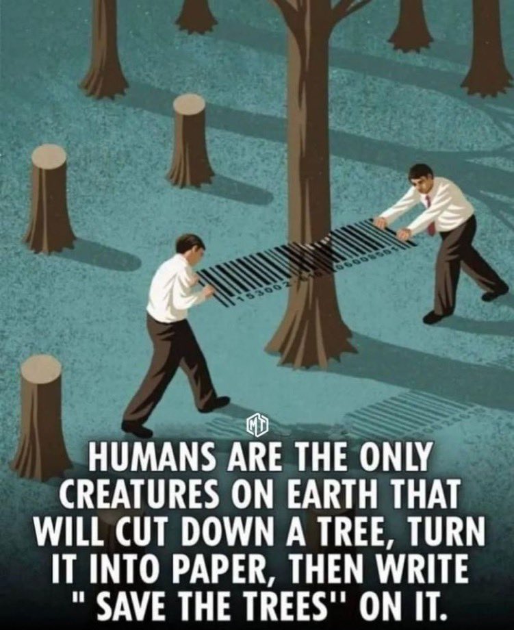 Almuth Siegl🌍Environment and Animal Advocate tweet media