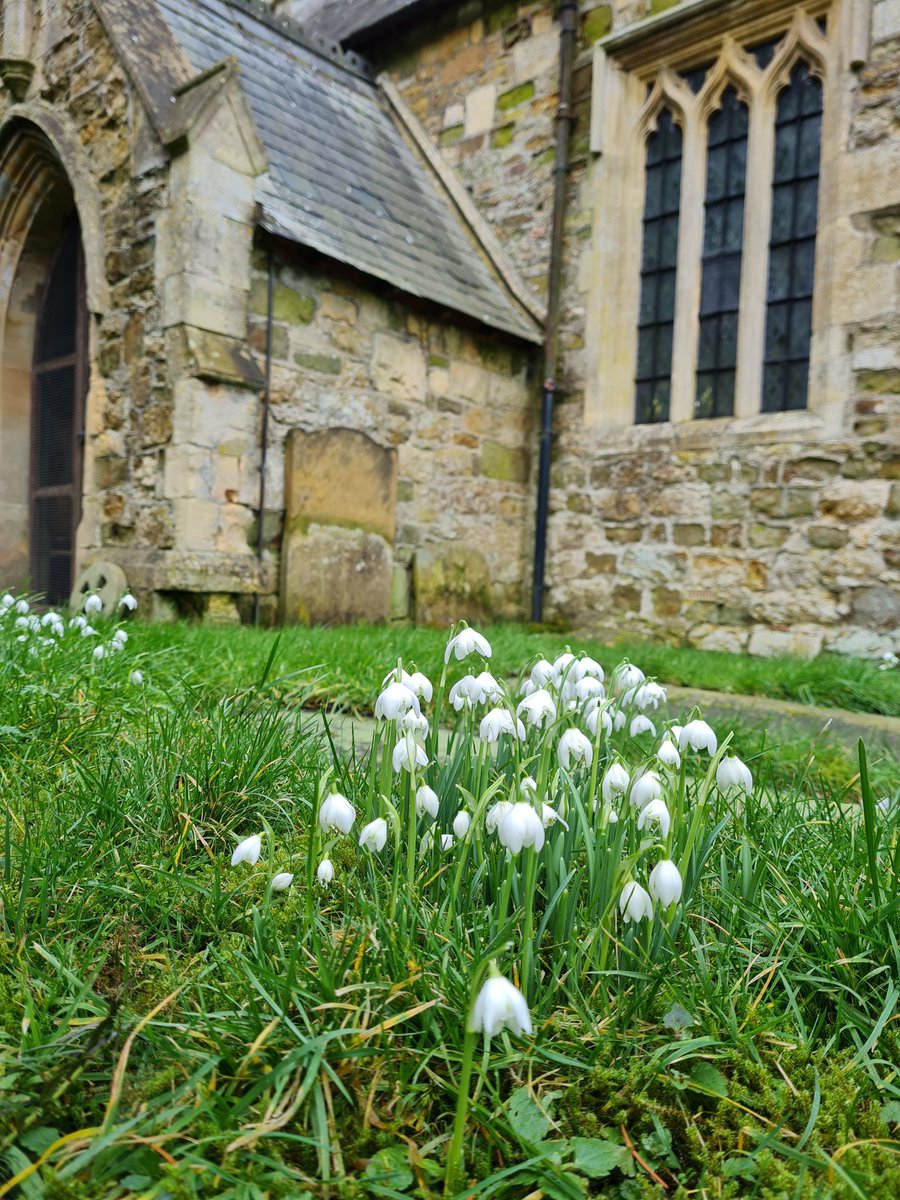 WestTorrington's tweet photo. The Snowdrops are out in full force in the churchyard now, making the area look even more beautiful ❤ #westtorrington #closedchurches #lincolnshirechurches #heritagebuildings #villagelife #lincolnshirelife #lincolnshire #community #SaveOurSpace https://t.co/gpJuOuaSGY