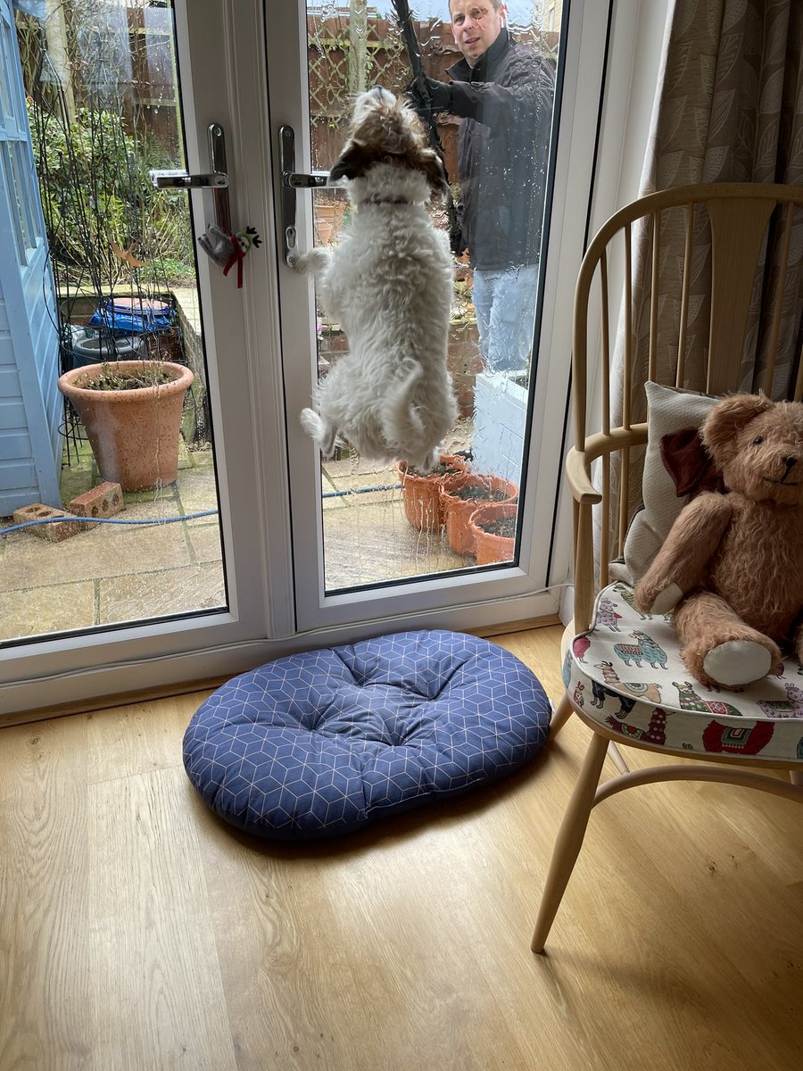 Pebble PR Terrier tweet media