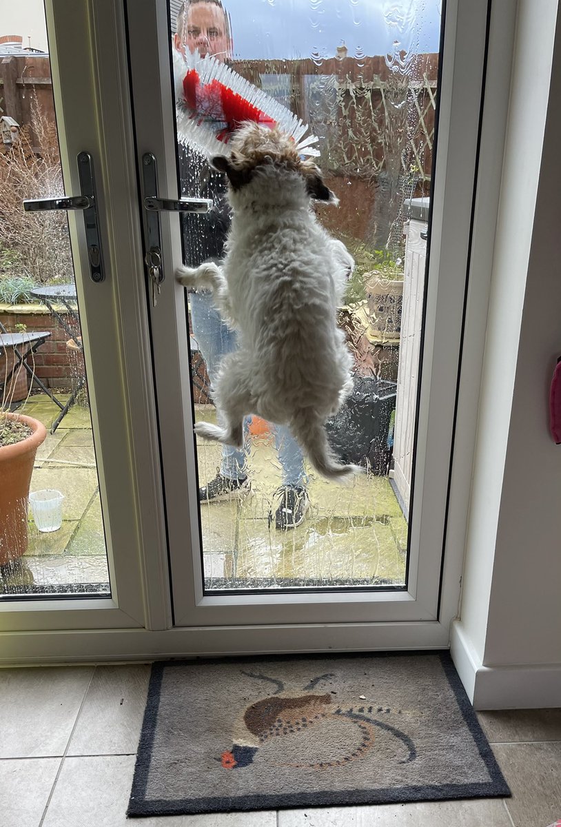 Pebble PR Terrier tweet media