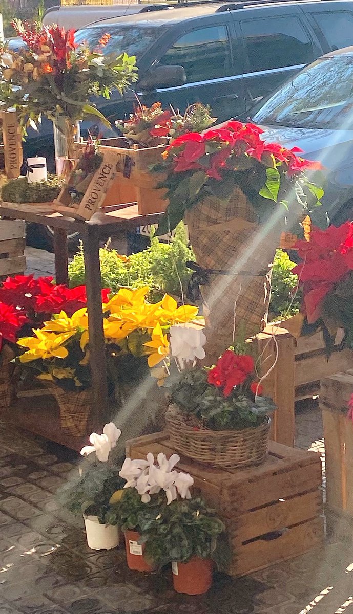 regalar flores…… <3
