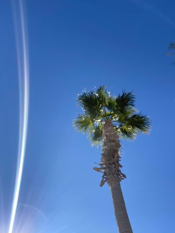 RobinHDunlop's tweet photo. My friend was trying to show me how the Fibonacci sequence occurs over & over in #nature but as far as I can tell, it only exists on my #golf scorecard. #AddictedToGolf https://t.co/9d7vEN0ZyH