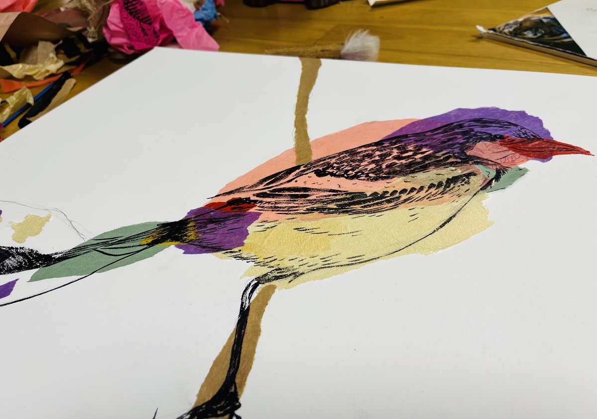 fernandacohen's tweet photo. #birdwatching #birding #collage https://t.co/IcAByWRuUJ