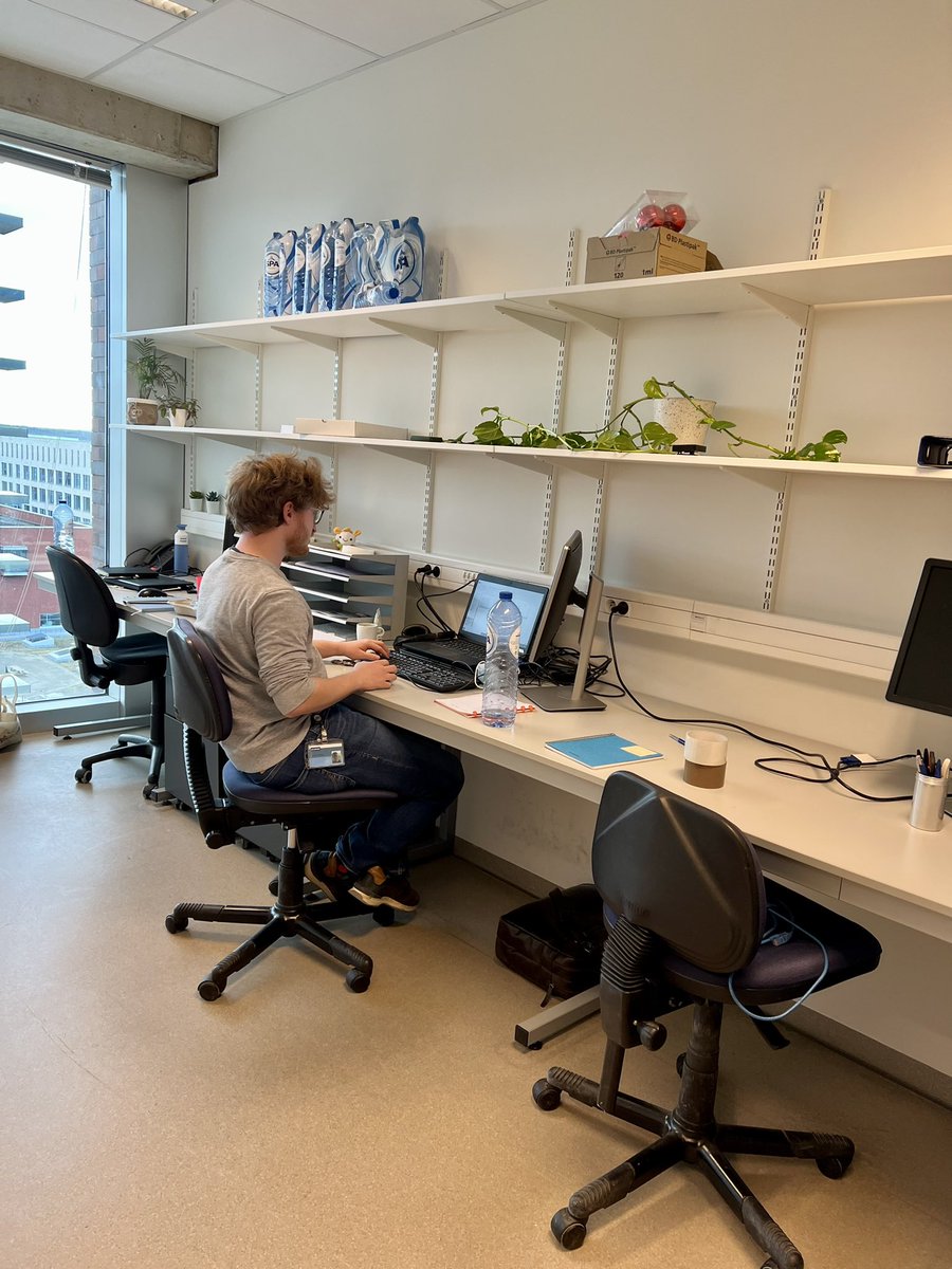 Eleonora Leucci tweet media