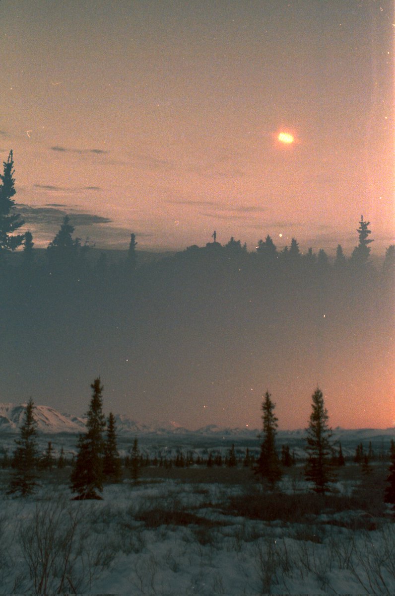 James Leder tweet media