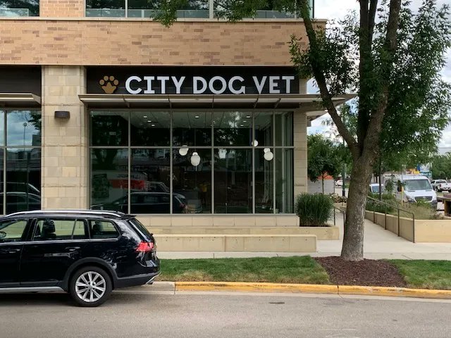 Livewithlindsey's tweet photo. Did you know there is a vet clinic JUST FOR DOGS in downtown Madison?  We love how this sign turned out.  The letters are face lit and the paw is halo  lit brushed aluminum with transparent gold film on face.  We think this sign looks day or night when driving on E. Wash! https://t.co/iO5Lk8l4sp