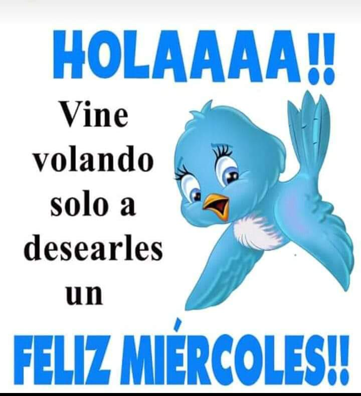 Jessica Vazquez Piña (@jessi_vazp) on Twitter photo 