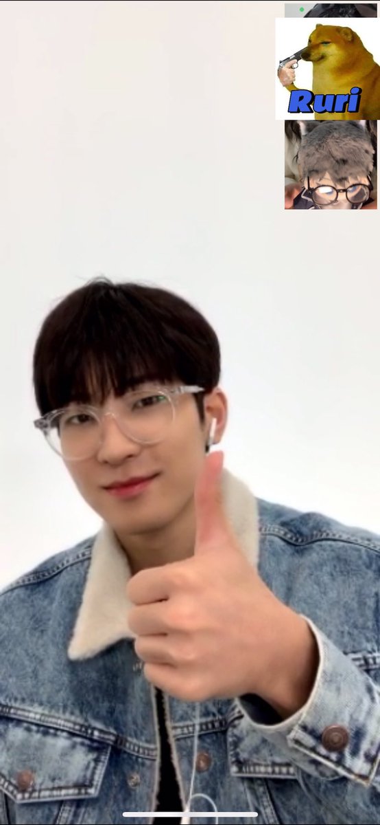 ルリ🐾 tweet media