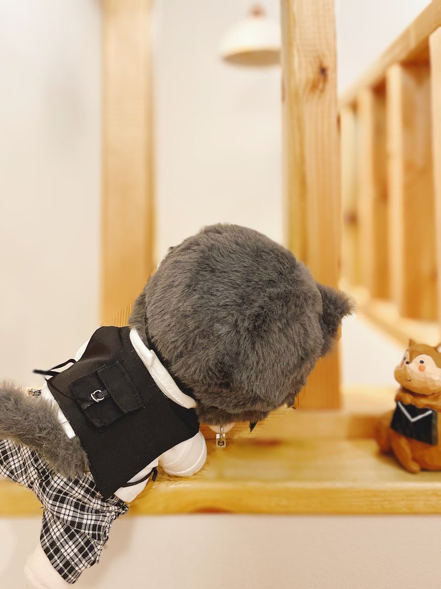 ルリ🐾 tweet media