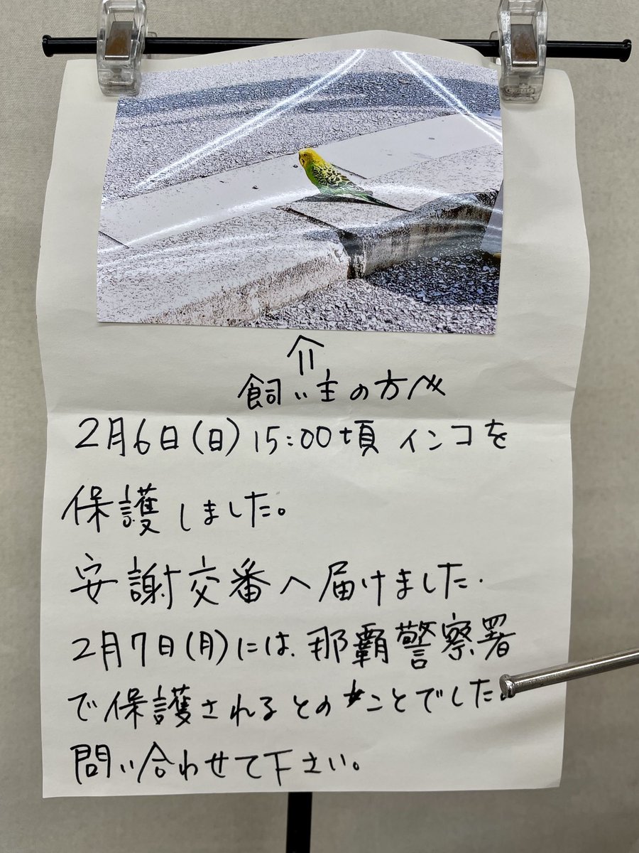 オキナワグラフ tweet media