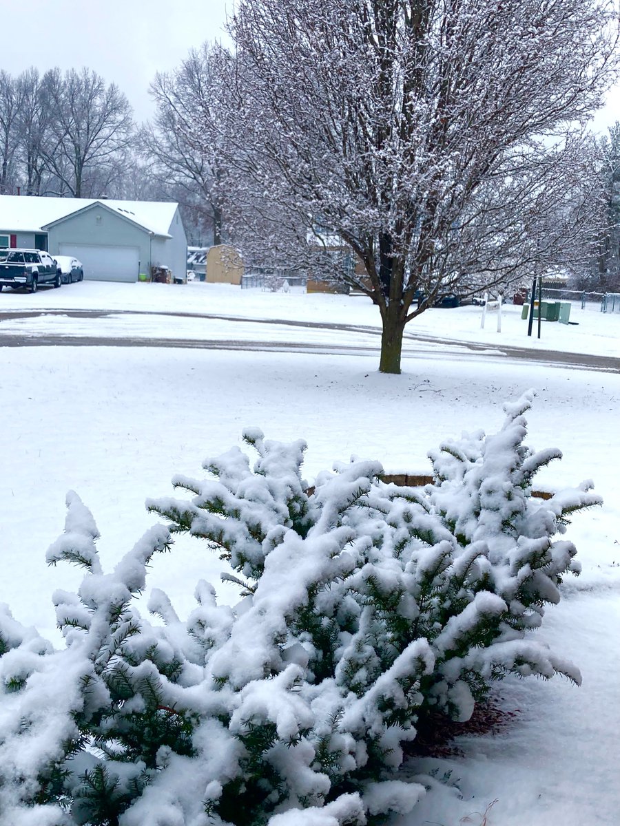CholkasA's tweet photo. Snow photography by New Richmond Middle School students. @NRMiddleSchool @RemoteArt https://t.co/h1pT4FXizZ