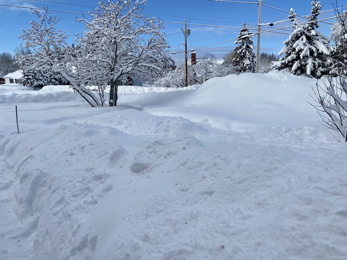 tfoisy's tweet photo. 11.7” new snow in Presque Isle, with 32” on the ground now. A lot of meat to that 32” as well. #MEwx https://t.co/cBnNylTihB