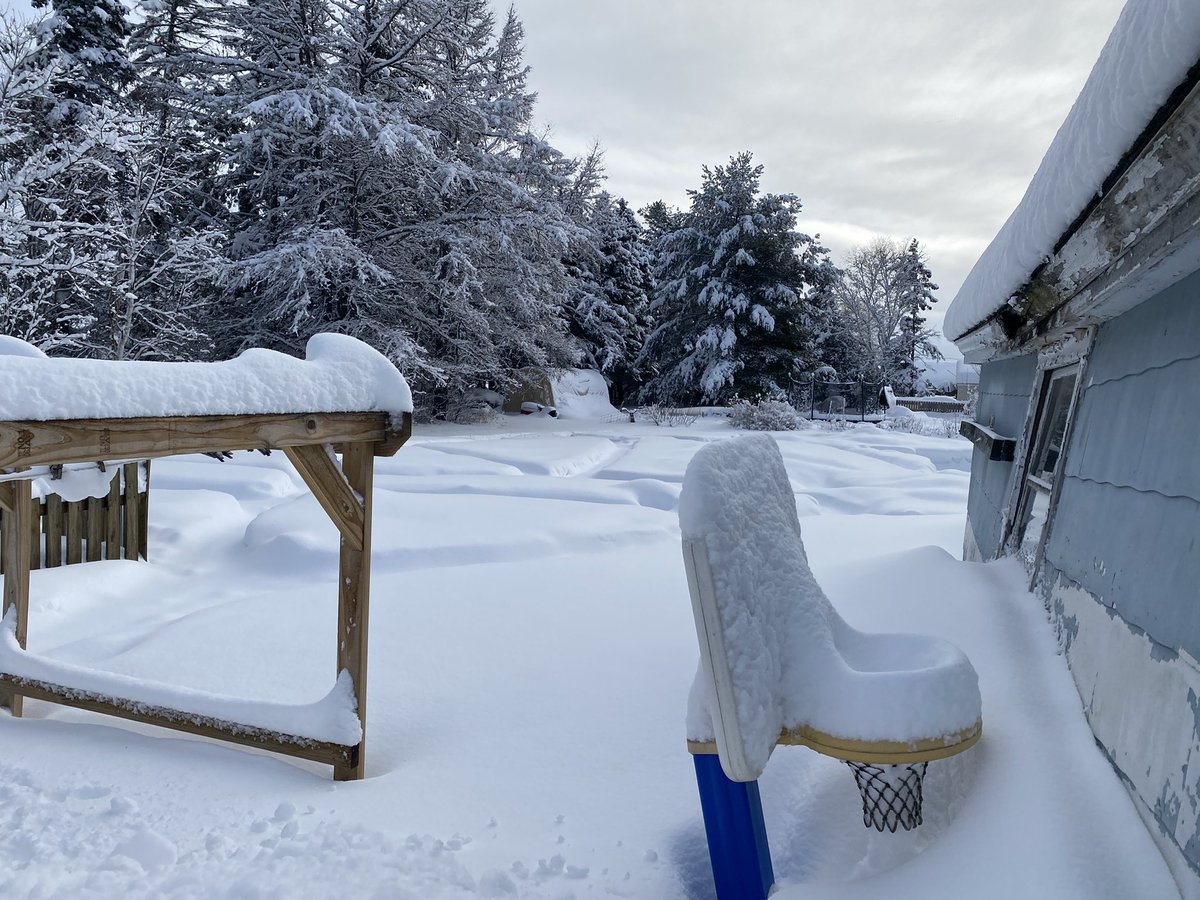 tfoisy's tweet photo. 11.7” new snow in Presque Isle, with 32” on the ground now. A lot of meat to that 32” as well. #MEwx https://t.co/cBnNylTihB
