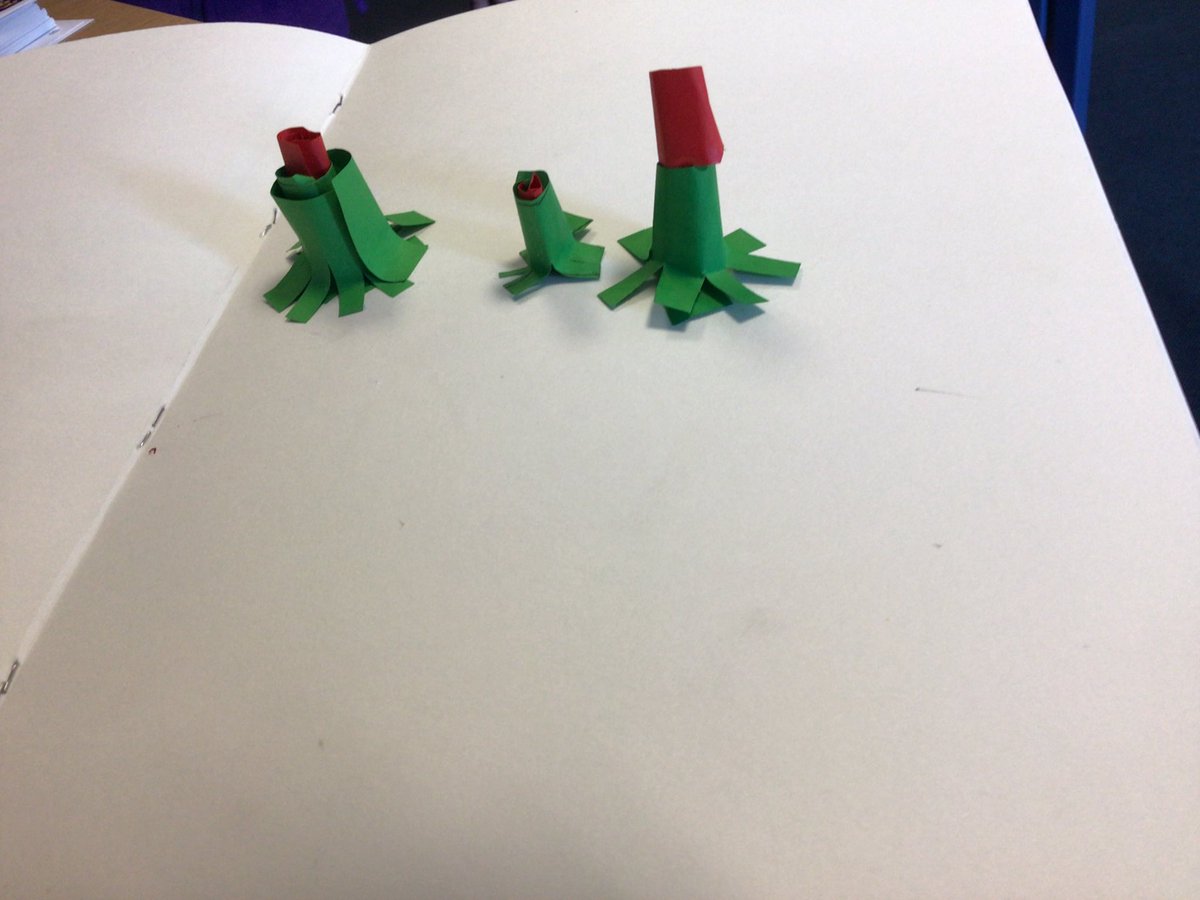 Paper curling using: scissors, pencils, fingers and even a ruler! At the beginning of the week we found this tricky but our resilience has paid off.