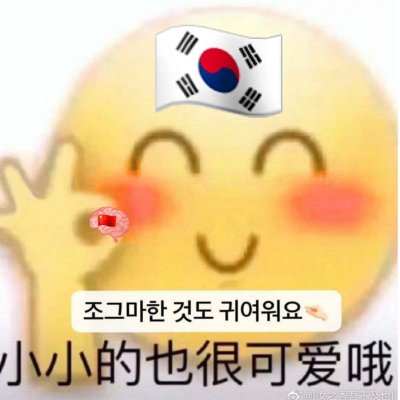 중국 개 씨발들아 tweet media