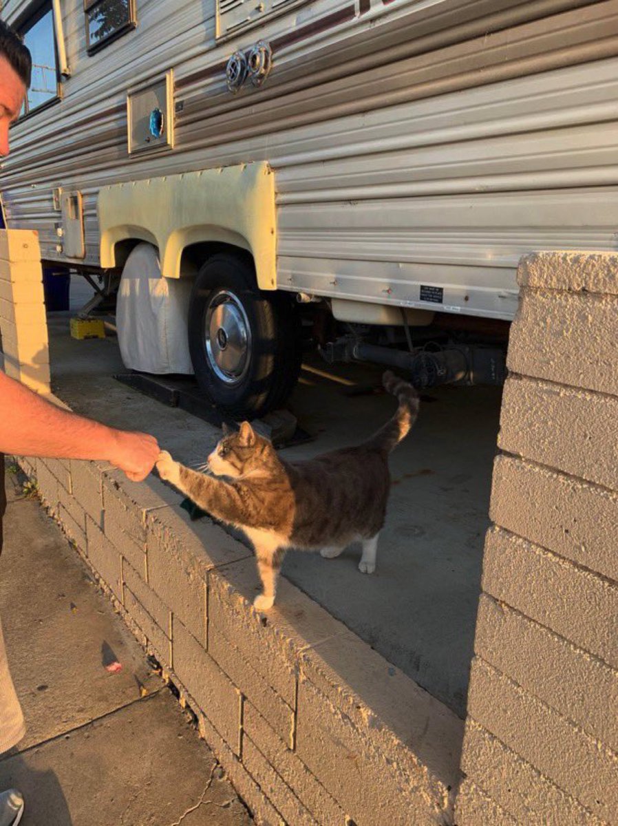 PowerfulAuraX's tweet image. 