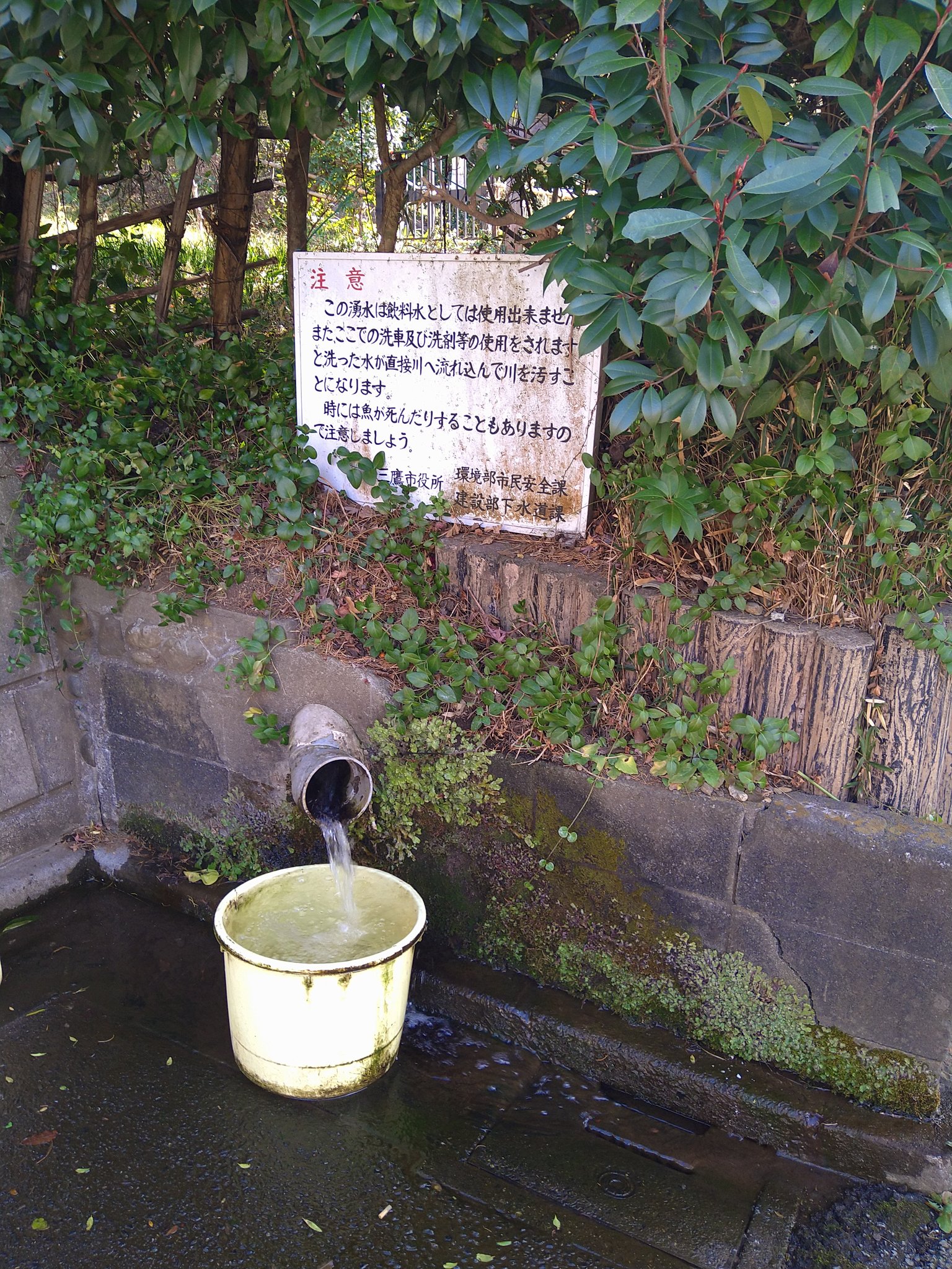 三鷹　流出 国立天文台ニュース2018年12月号（No.305）