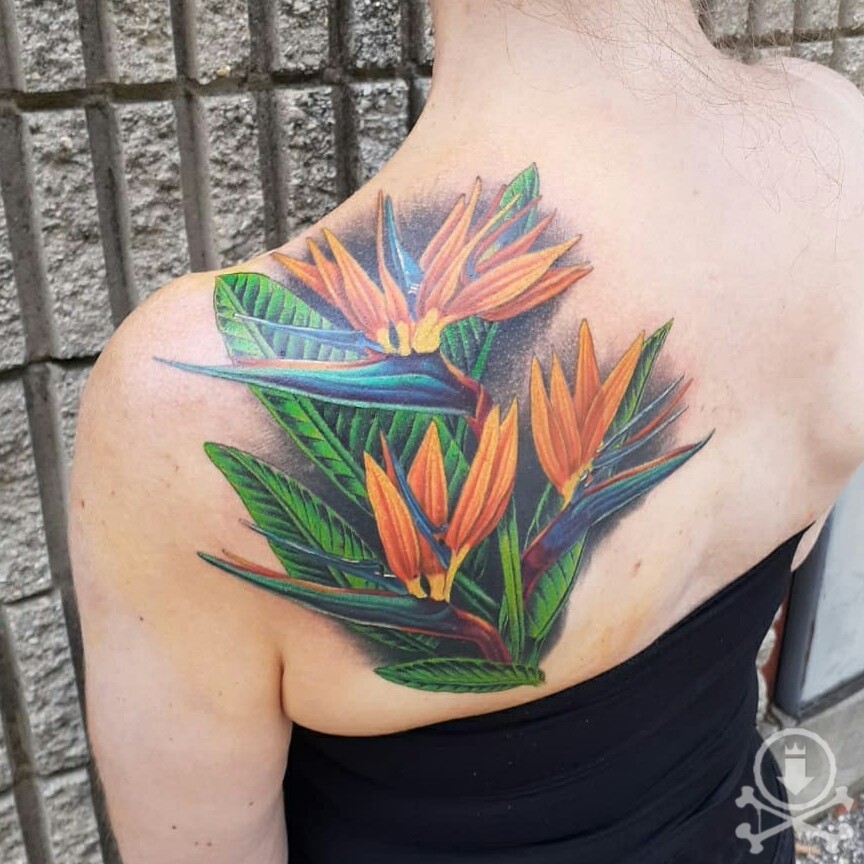 Bird of paradise flower tattoo on the chest