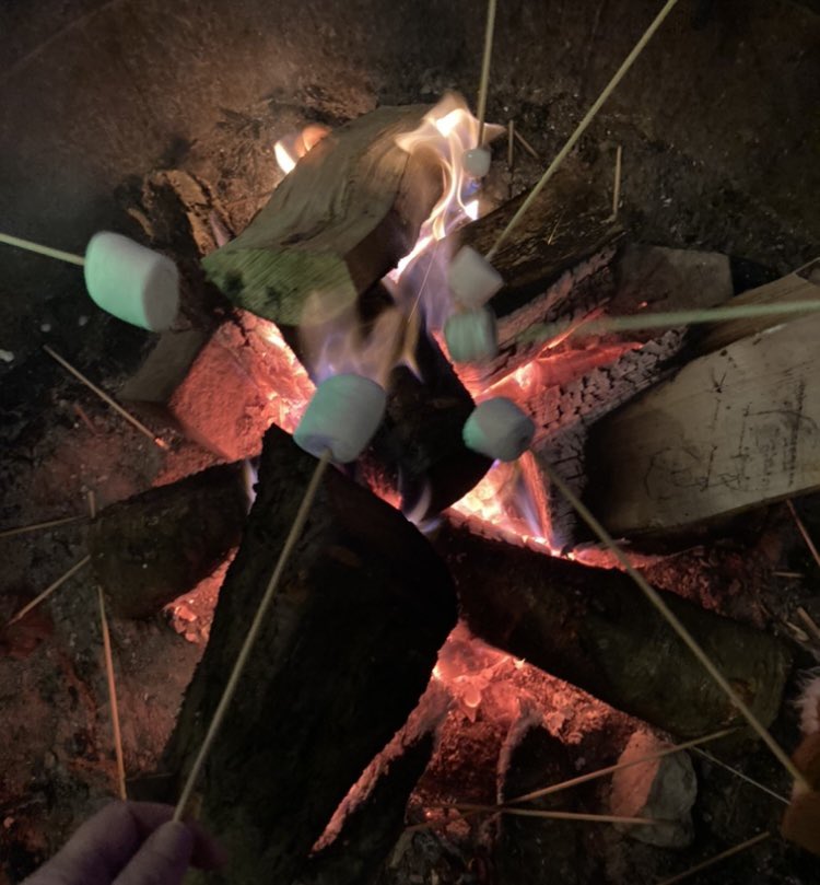 TaniFifi's tweet photo. Fire pit 🔥 #Outdoors #Familylove https://t.co/6Xz4kZGWvp