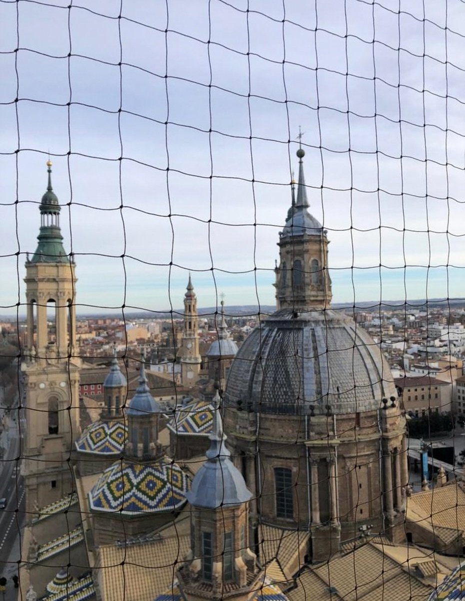 martalaazr's tweet photo. siendo muy feliz en Zaragoza 🤠🤠 https://t.co/fTuj2qVhdO