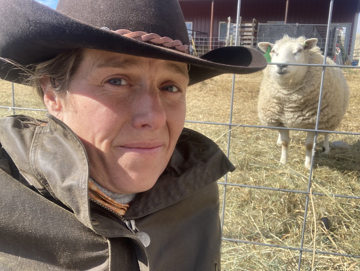 KBSX915's tweet photo. 🐑 Will this super preggo ewe give birth while @aahearn is recording? Take a listen to Episode 2 of #WomensWork and meet 14-yr-old Maloi Lannan and her awesome family on their #MT ranch.

https://t.co/EyTLIVP1Qc https://t.co/JjZWocRbZC