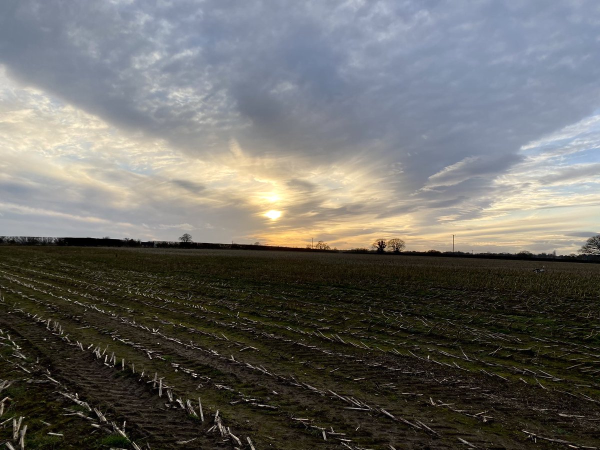 DebsRWalton's tweet image. Late afternoon walk #prees #northshropshire