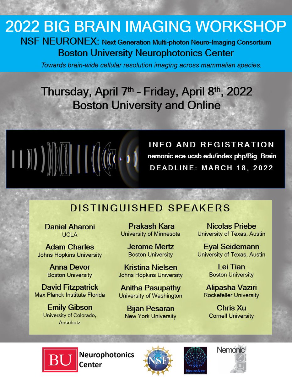 Announcing the 2022 Big Brain Imaging Workshop (postponed from 2020), hosted by @NemonicHub and @BU_NPC will take place on April 7-8 at Boston University and online. Please spread the word! Info/registration: bit.ly/3uDt1HG